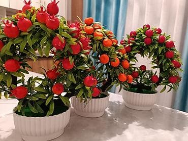 декоративные фрукты: Платная доставка, Самовывоз — 3