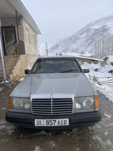 танировка для авто: Mercedes-Benz W124: 1987 г., 2.3 л, Механика, Бензин, Седан — 6