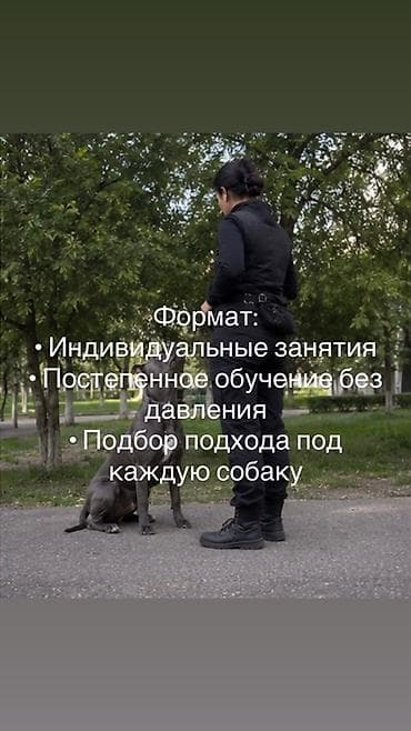 вольер для собаки: Формирование послушания и управляемости собак | Бишкек — 4
