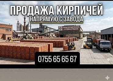 Кирпич керамический пустотелый (перфорация сквозными круглыми