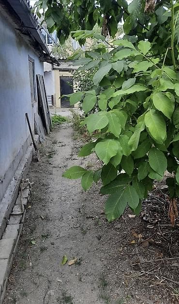 дача жар башы: Продам старый дом с хорошим участком в пер.Береговой(район — 4
