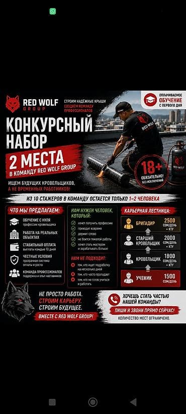 Вакансиялар: КОНКУРСНЫЙ НАБОР В Red Wolf Group открыто всего 2 места. Ищем будущих — 1