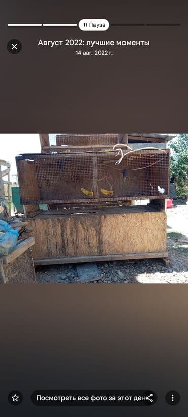 добрый жук: Многоярусные клетки для птицы/кроликов бодоно клетка перепела клетка — 7