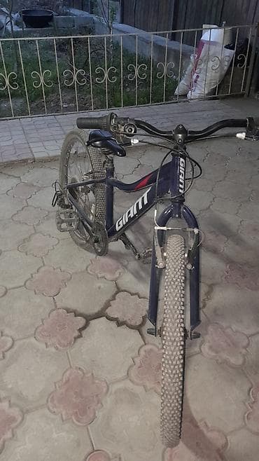 толокар бишкек: Тоо велосипеди, Велосипед алкагы S (145 - 165 см), Алюминий, Колдонулган — 3