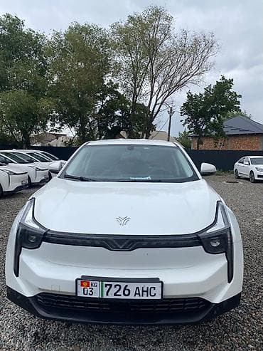 byd plus: Электромобиль NETA U PRO кроссовер класса Кузов и дизайн: - 5‑дверный — 1