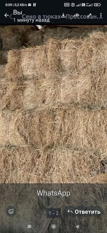 chi su: Сено в тюках. - Прессованное сено в стандартных прямоугольных тюках — 1