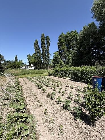 royal yard: 📍 В Сокулуке от трассы 600 м. продается дом на участке 12 соток, 89 — 7