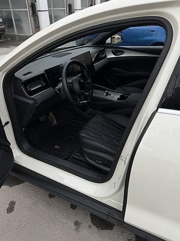 clk 208: BYD Seal 06: 2024 г., Гибрид, Лифтбек — 9