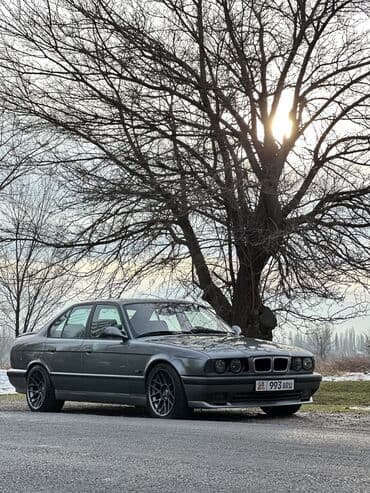 lexus 450d: BMW 5 series: 1994 г., Бензин, Седан — 10