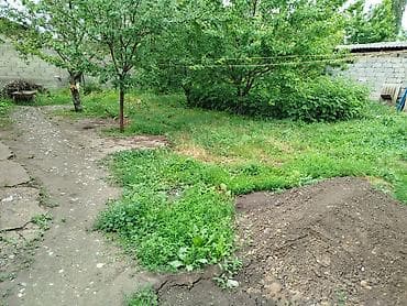 энесей: 3 соток, Для строительства, Красная книга, Тех паспорт — 2