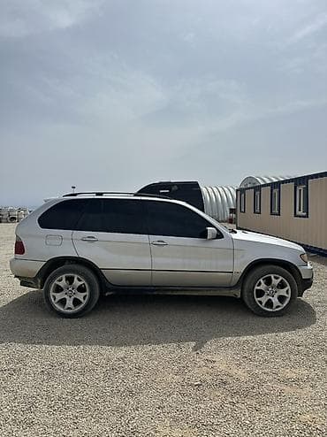 tesla pi: BMW X5: 2002 г., 4.4 л, Автомат, Бензин, Кроссовер — 1