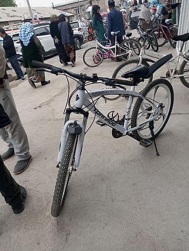 fixed gear: Горный велосипед, Сталь — 4