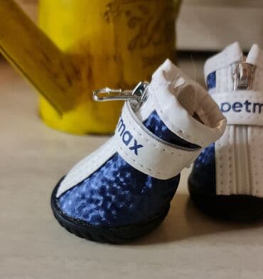 вольеры для собак бу: Новая обувь на собаку мелкой породы. размер и замер внимательно — 3