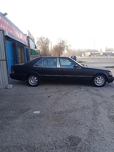 Mercedes-Benz S-Class: 1995 г., 4.2 л, Автомат, Газ, Седан