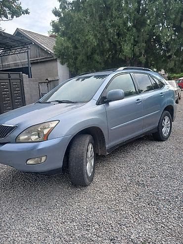 w210 e50: Lexus RX: 2004 г., 3.3 л, Автомат, Бензин, Кроссовер — 2