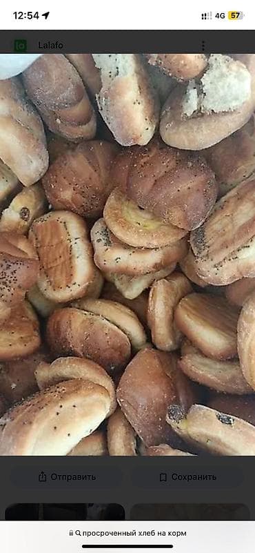 Ветеринар кызматы: Жемге просрочный нан булочкалар сатылат мешогу 150 сом коп аябай — 3