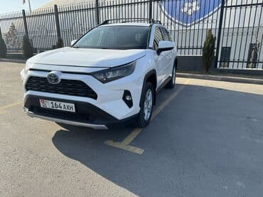 диск от бороны: Toyota RAV4: 2019 г., 2.5 л, Автомат, Бензиновая, Внедорожник — 2