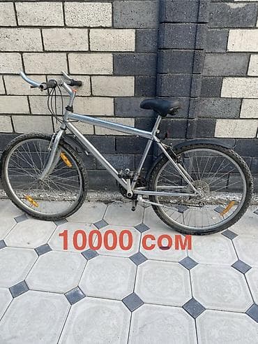 single speed: Городской велосипед, Рама XL (180 - 195 см) — 1