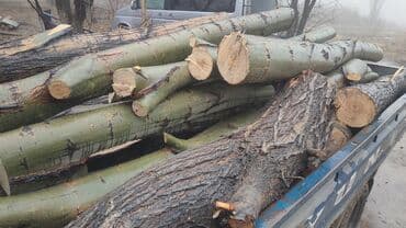 ведро для стирки: Дрова — 2