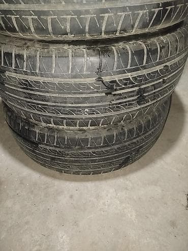 diska 14: Продаю шины Лето
2 идеальный
1 слабый
Цена : 4000 сом — 2