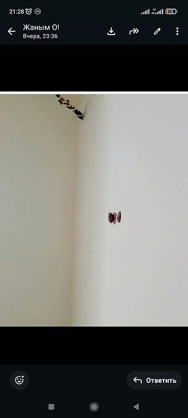 абой стена: Покраска стен и потолков под ключ - Профессиональная окраска жилых и — 8