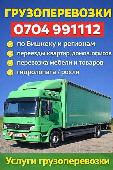 Комнатные растения: Грузоперевозки по Бишкеку и регионам. - Квартирные, домовые и офисные — 1