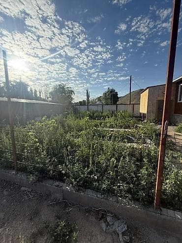 Животные: Продается благоустроенный сарай с готовым хозяйством в селе — 3
