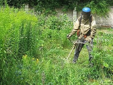 фрезер трактор: Уборка территории, Стрижка газона — 2