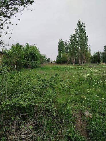 уч: 10 соток, Курулуш, Кызыл китеп — 1