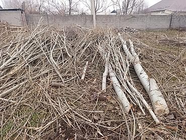 Промышленная химия: Дрова Тополь — 2