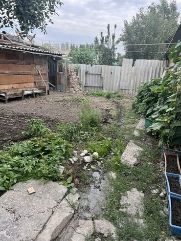дом за 20000 долларов: Дом, 4 м², 3 комнаты, Собственник, Косметический ремонт — 6