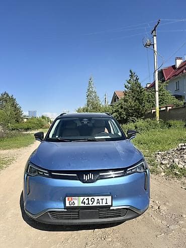 Weltmeister: Weltmeister W6, 2021 г. — 2