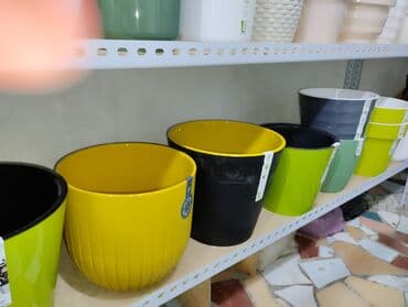 цветы в горшках цена: Распродажа горшков от 180 сом. Большой выбор горшков для ваших цветов — 6