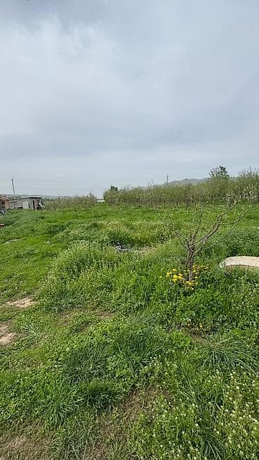haunted mound: 78 соток, Для сельского хозяйства — 2
