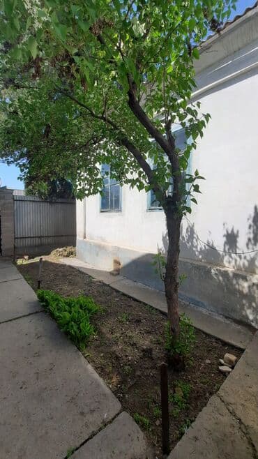 продаю дом аламединский рынок: Дом, 65 м², 4 комнаты, Риэлтор, Старый ремонт — 11