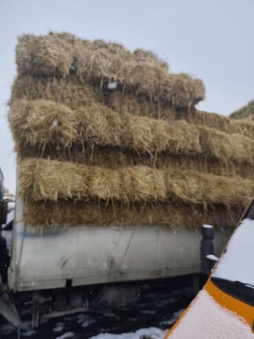 Продам тюки соломы. с доставкой.тюки плотные метровые - Прессованные