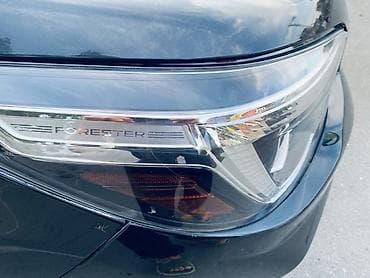 stream 2006: Subaru Forester: 2019 г., 2.5 л, Автомат, Бензин, Кроссовер — 3