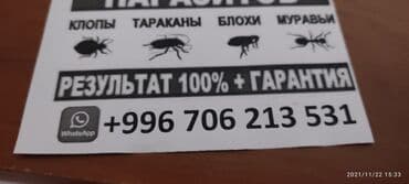 уничтожение клоп блох: Дезинфекция, дезинсекция, | Клопы, Блохи, Тараканы, | Транспорт, Офисы, Квартиры — 2