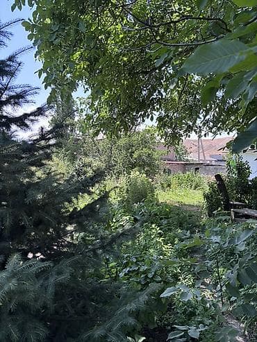 13 соток, Курулуш, Техпаспорт, Сатып алуу-сатуу келишими — 7