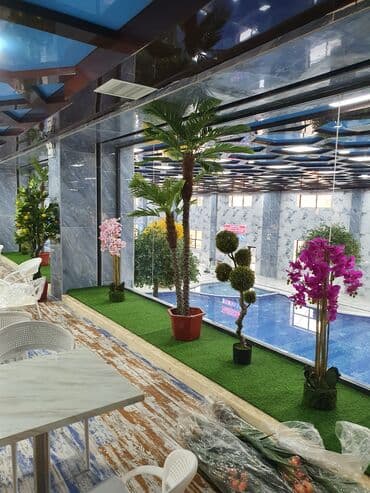 Дизайн, долборлоо: Дизайн | Кафе, ресторандар — 3