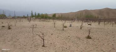 прадаю дом: 5 соток, Для бизнеса, Красная книга — 5