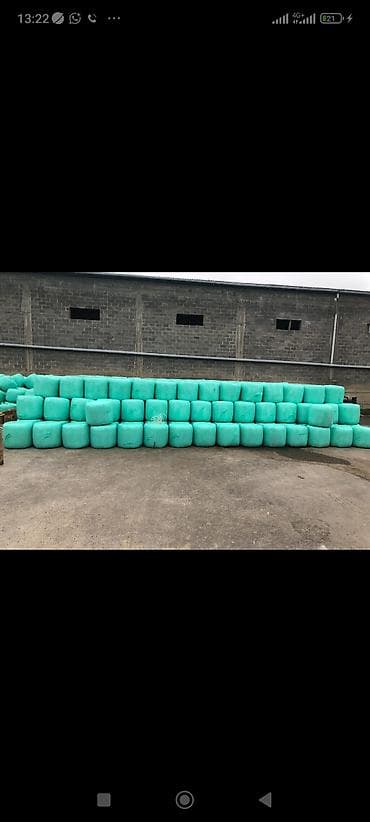 Силос в индивидуальных тюках (рулонах) в зелёной стретч-плёнке. -