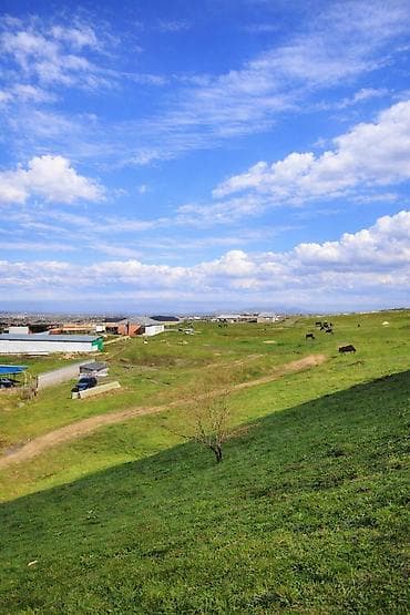 продаю участок ваенный антанофка: 25 соток, Для строительства, Красная книга — 4