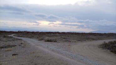 комната с подселением долгосрочно: 6 соток, Для строительства, Красная книга, Генеральная доверенность — 3