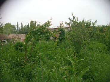 дом за 20000 долларов: Дом, 1500 м², 5 комнат, Собственник — 11