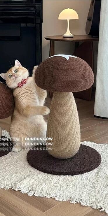 переноска для кошек бу: Зоотовары.
Игрушки для животных — 7