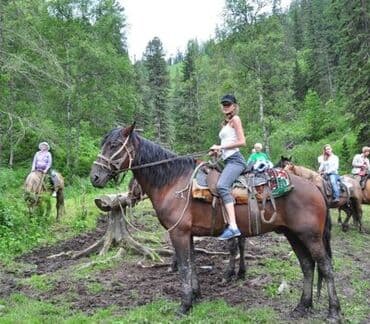 купить дом в бишкеке: Конная прогулка на иссык-куле 🐎 0️⃣5️⃣0️⃣2️⃣3️⃣2️⃣9️⃣4️⃣7️⃣1️⃣☎️ + — 2