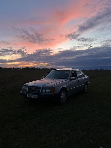 124 идеал: Mercedes-Benz W124: 1990 г., 3 л, Механика, Дизель, Седан — 2