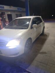 диск на ист: Toyota Allex: 2003 г., 1.5 л, Автомат, Бензин, Хэтчбэк — 13