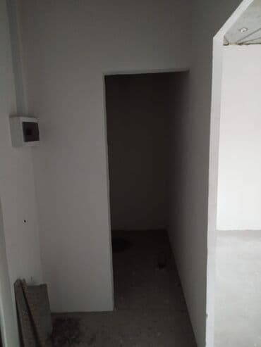 квартиры ищу: 1 комната, 53 м², Элитка, 6 этаж, ПСО (под самоотделку) — 4